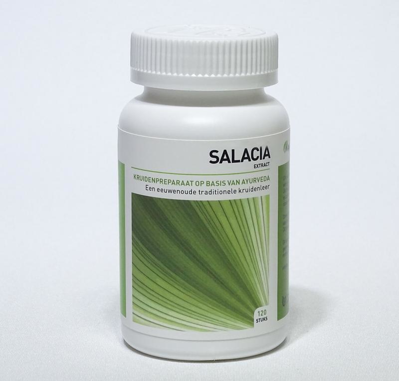 Ayurveda Health Salacia oblonga (120 tab) Top Merken Winkel